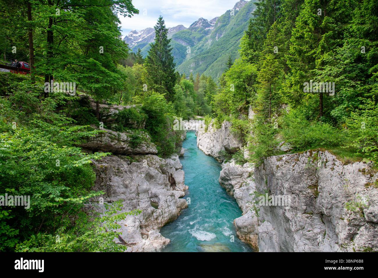 Wunderschöner Fluss Soca im Nationalpark Triglav, Slowenien Stockfoto