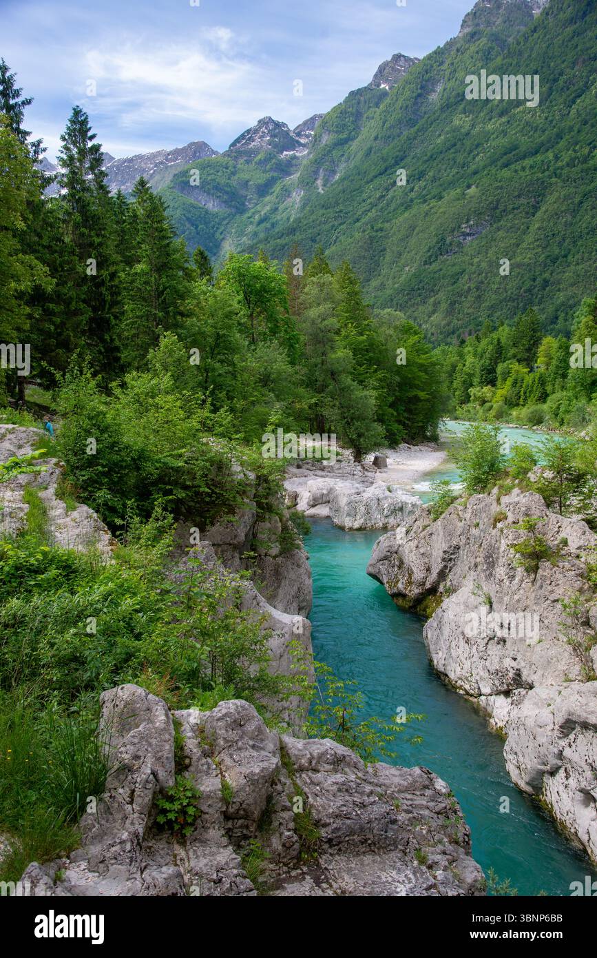 Wunderschöner Fluss Soca im Nationalpark Triglav, Slowenien Stockfoto