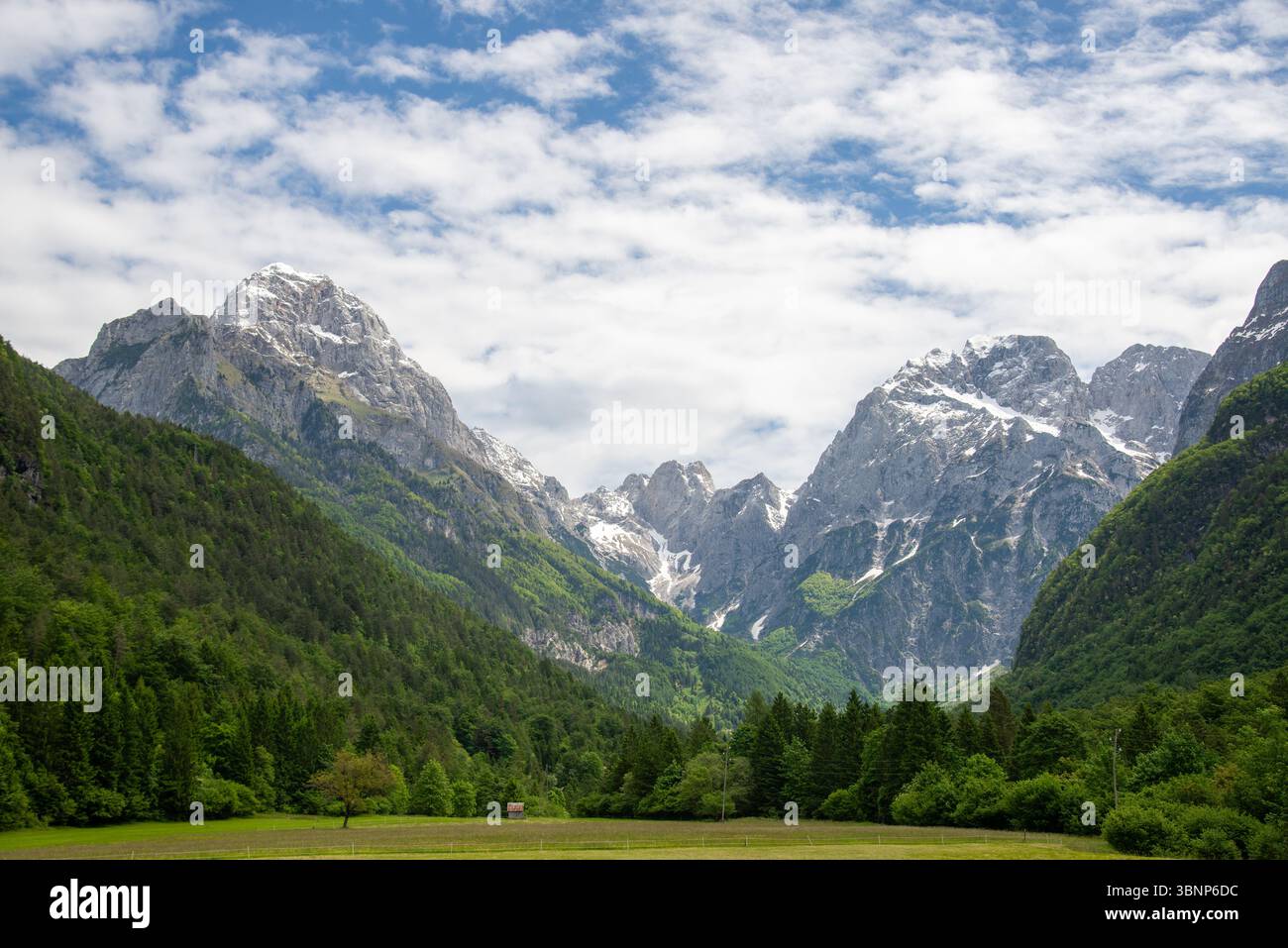 Wunderschöner Fluss Soca im Nationalpark Triglav, Slowenien Stockfoto