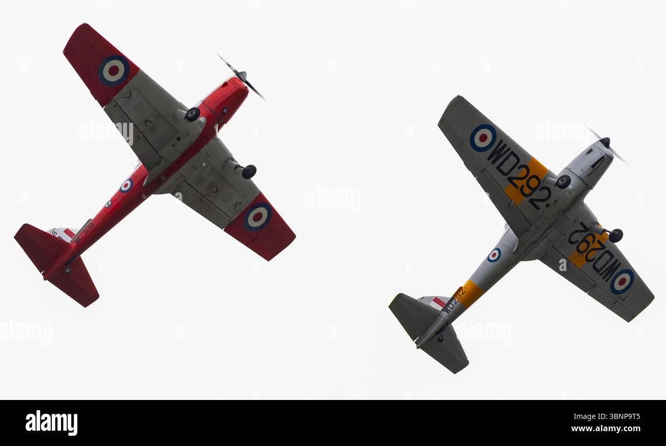 Zwei DHC-1 Chipmunks des Vintage Pair treten in der Flugschau auf der RAF Cosford Airshow 2025 auf. Credit JTW Aviation Images / Alamy. Stockfoto