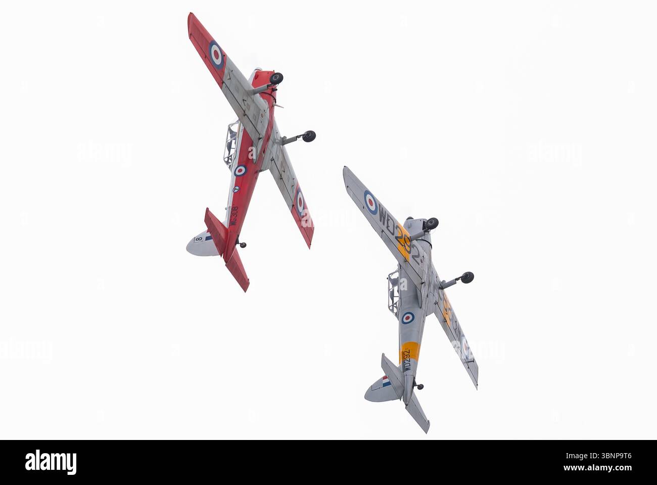 Zwei DHC-1 Chipmunks des Vintage Pair treten in der Flugschau auf der RAF Cosford Airshow 2025 auf. Credit JTW Aviation Images / Alamy. Stockfoto