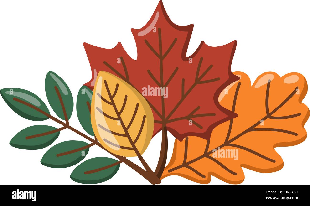 Herbstherbariumillustration mit Ahorn, Eiche und gelben Blättern. Herbstsaison Wald. Cartoonvektor auf weißem Hintergrund. Stock Vektor