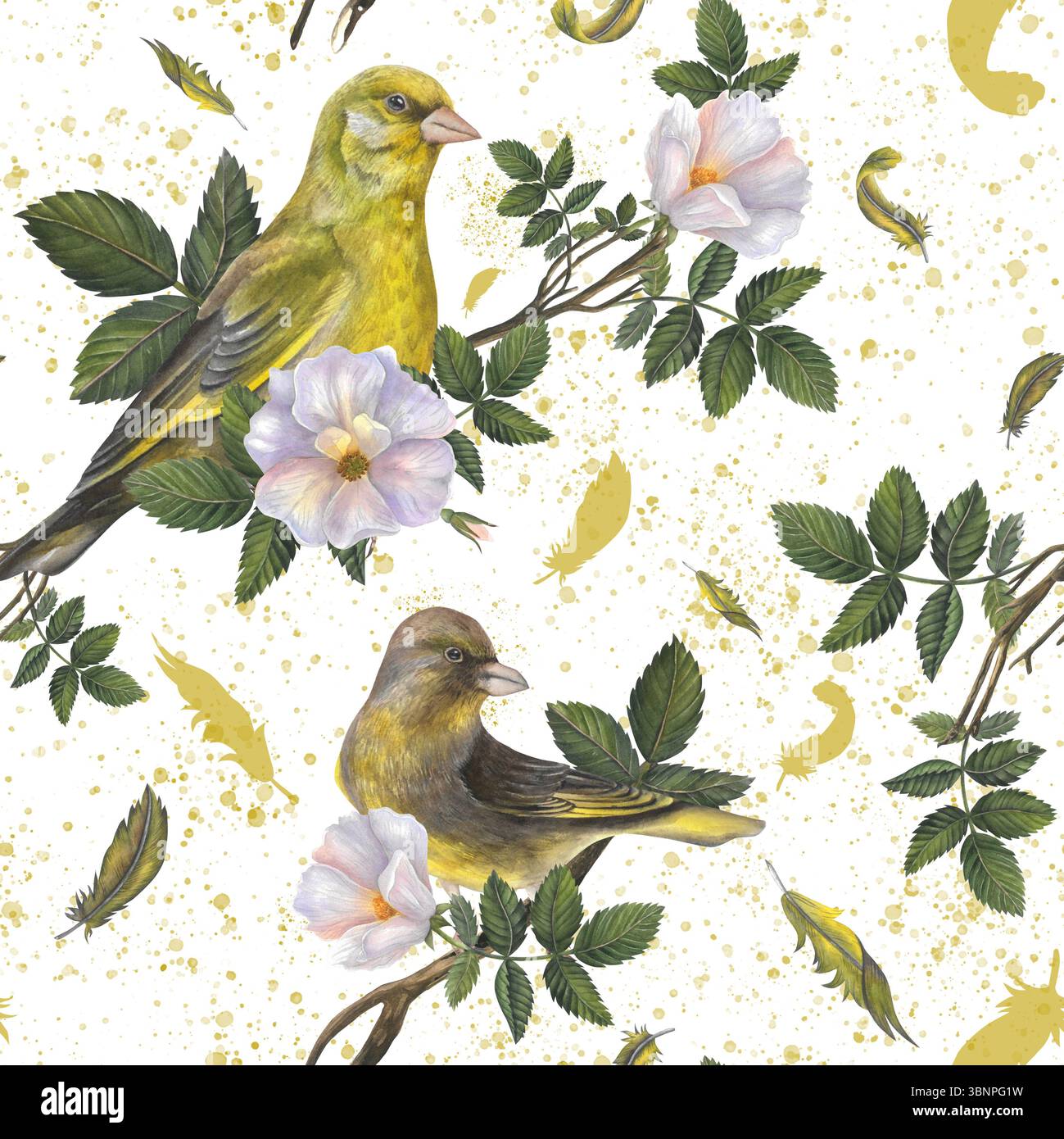 Grünfinkenvögel, Federn, Hagebuttenblüten, Blätter und Aquarellspritzer auf transparentem Hintergrund handgezeichnet. Nahtloses Muster Aquarell Stockfoto