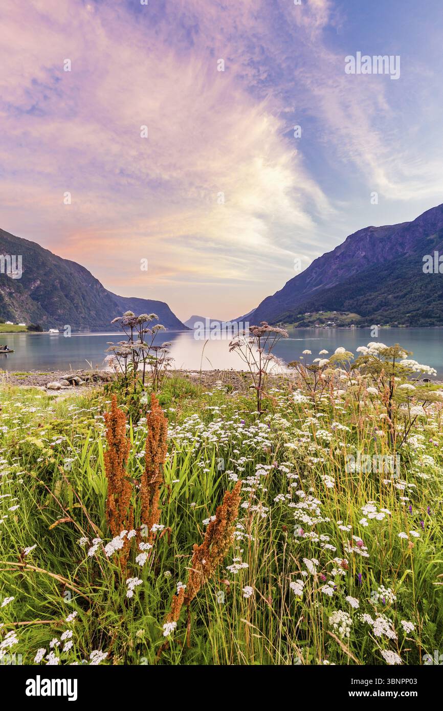 Blick auf den wunderschönen Sognefjord bei Sonnenuntergang von Skjolden Sogn og Fjordane County in Westnorwegen, Skjolden, Noorwegen Stockfoto