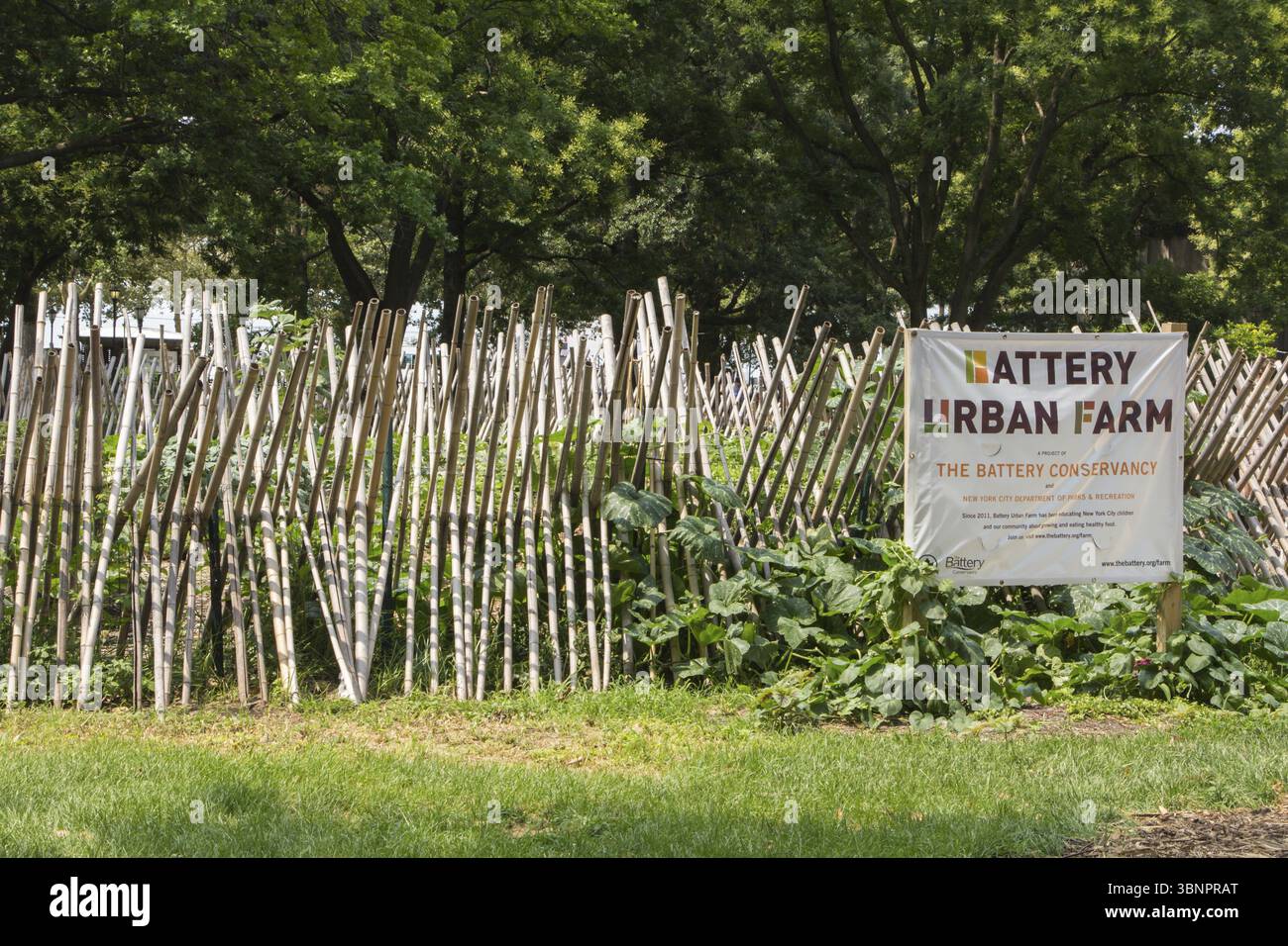 Das Projekt Battery Urban Farm in Manhatten in New York, United Stes Stockfoto