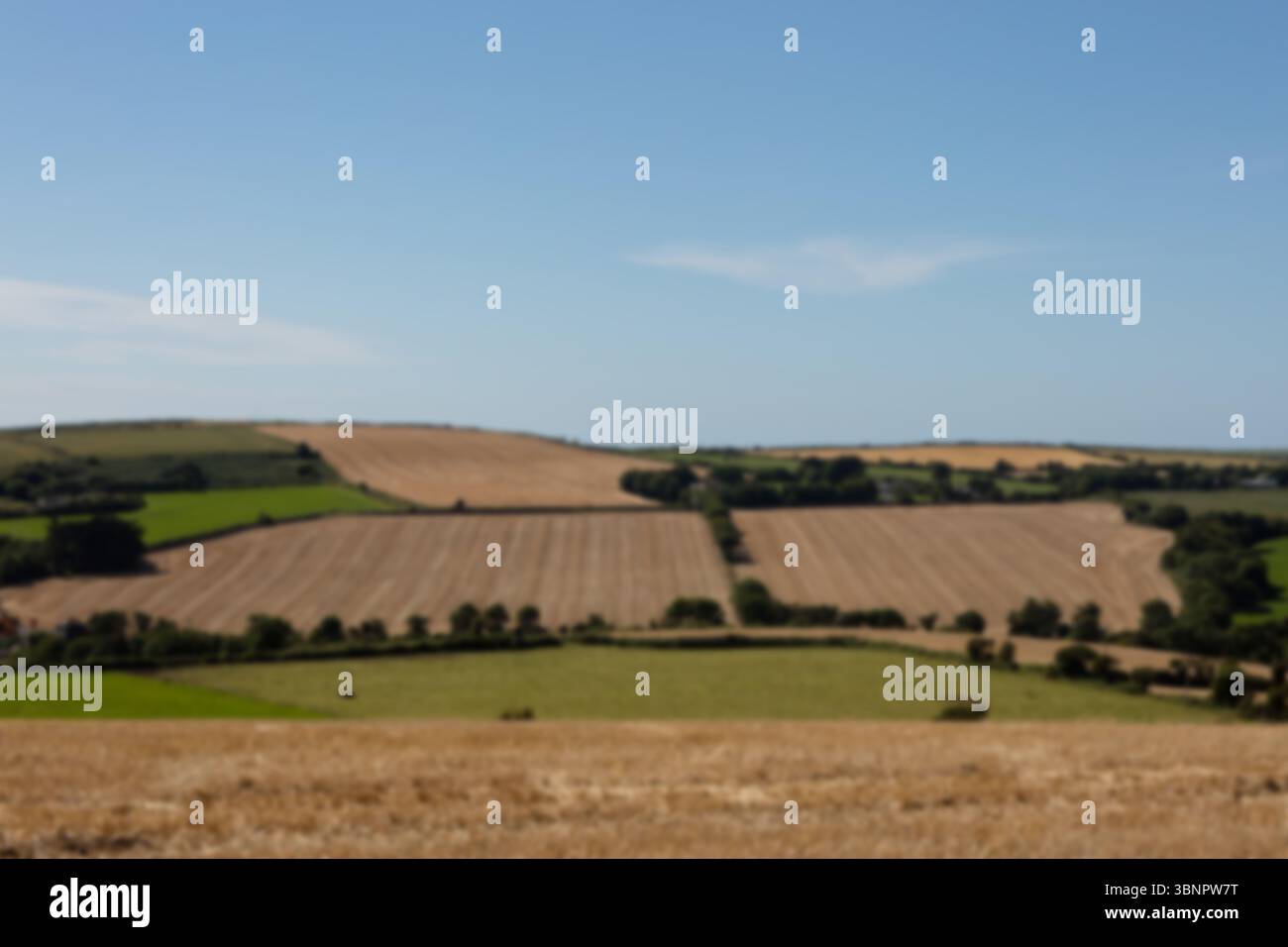 Ruhige Szene des landwirtschaftlichen Feldes Stockfoto