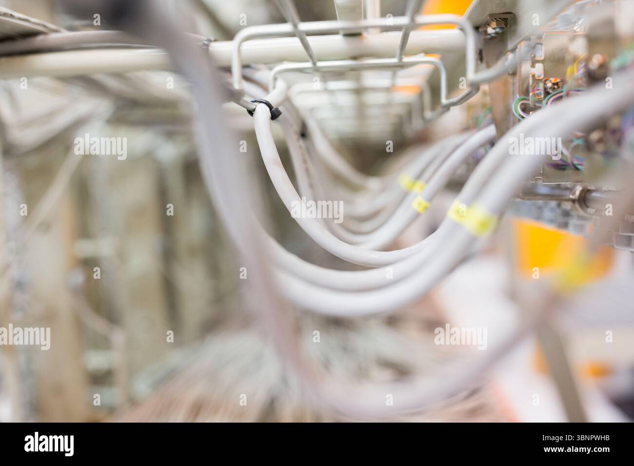 Weiße isolierte Kabel sind bogenförmig in einem flachen Metallbehälter mit gelben Etiketten und Kabelbindern Stockfoto