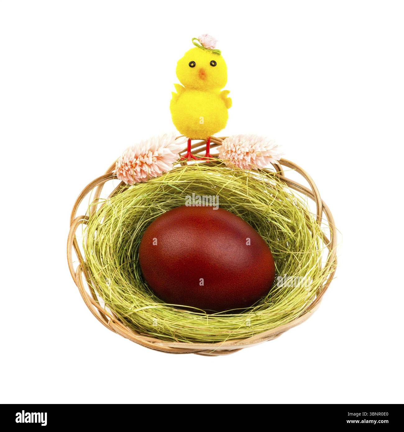 Osterkomposition mit einem gelben huhn und einem dunkelroten ei im Nest isoliert auf weissem hintergrund Stockfoto