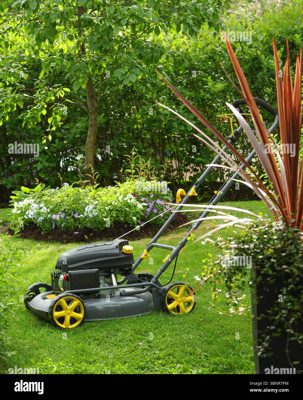 Brandneuer Rasenmäher im grünen Garten, bereit für Hausaufgaben Stockfoto