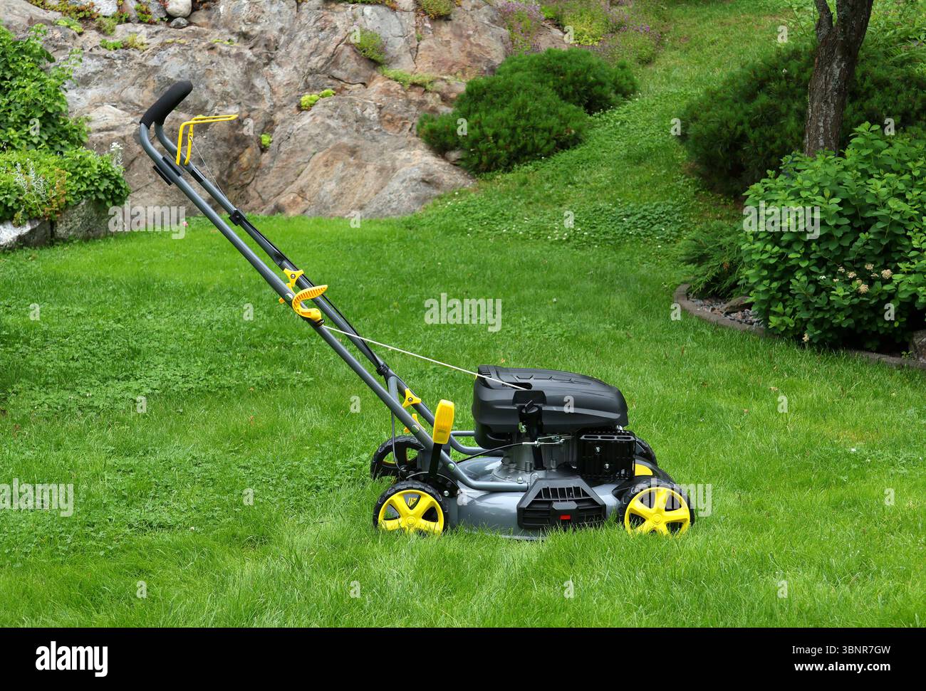 Nagelneuer Rasenmäher im Garten mit langem grünem Gras, bereit für Schneidarbeiten Stockfoto