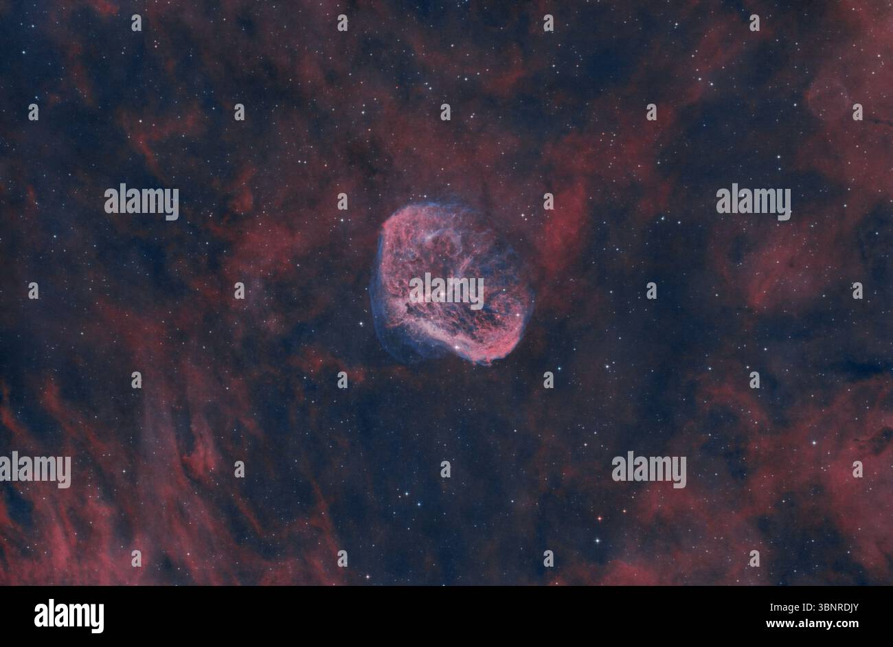 Der Halbmondnebel (NGC 6888) im Cygnus-Sternbild, der schmalbandig mit reichen Wasserstoff- und Sauerstoffemissionen erfasst wurde. Stockfoto