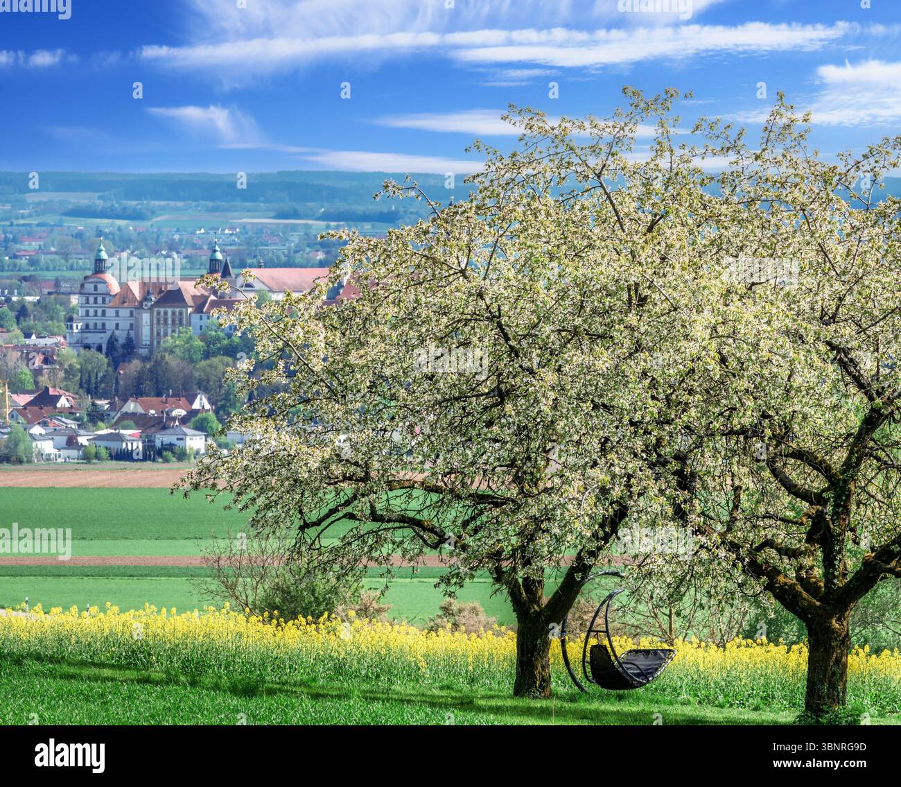 Malerischer Frühling mit einem weiß blühenden Kirschbaum. Blick auf das Schloss Neuburg im Hintergrund Stockfoto
