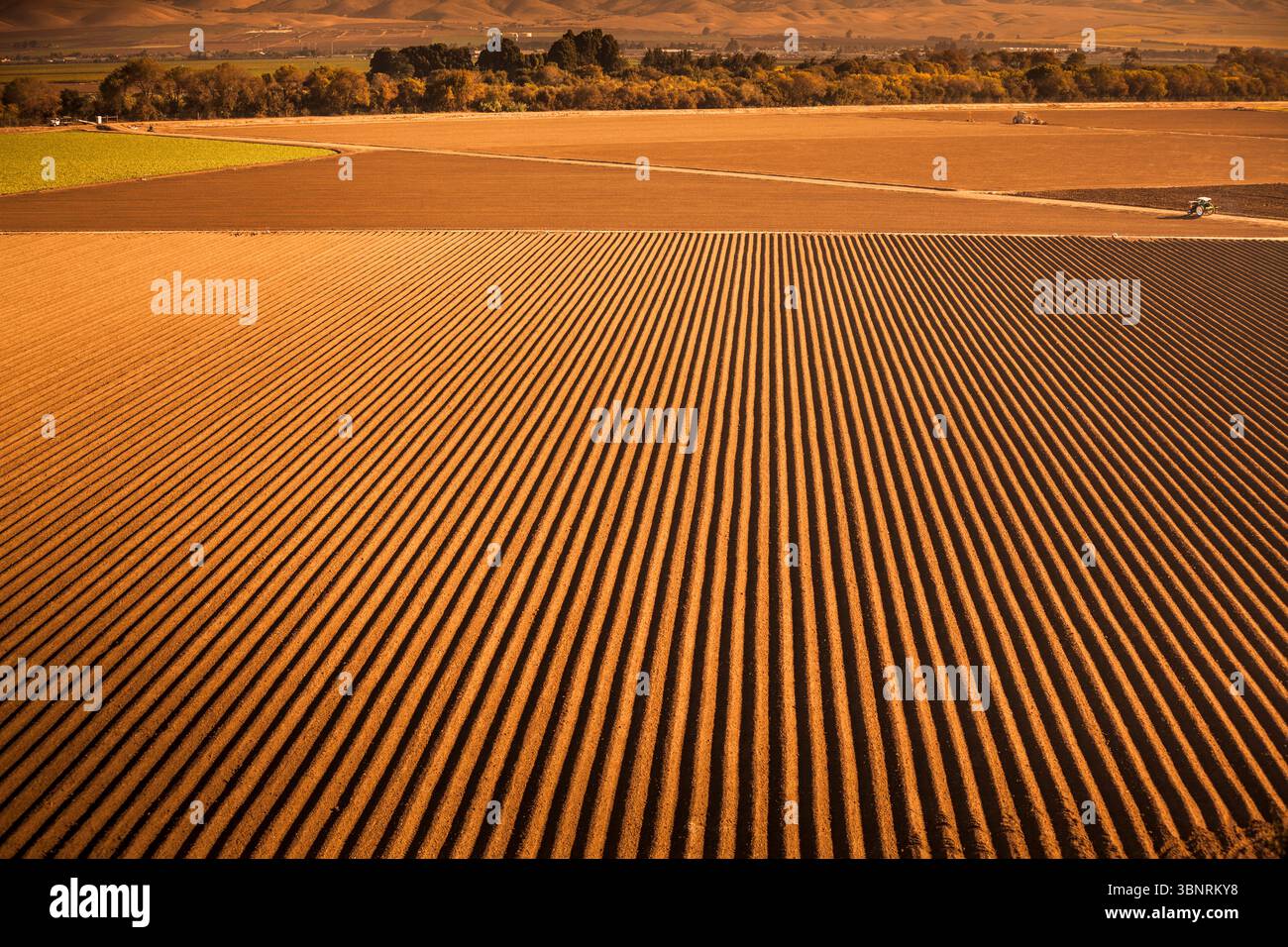 Ein leeres Feld, das im Salinas Valley, Kalifornien, USA, gepflanzt werden kann. Stockfoto