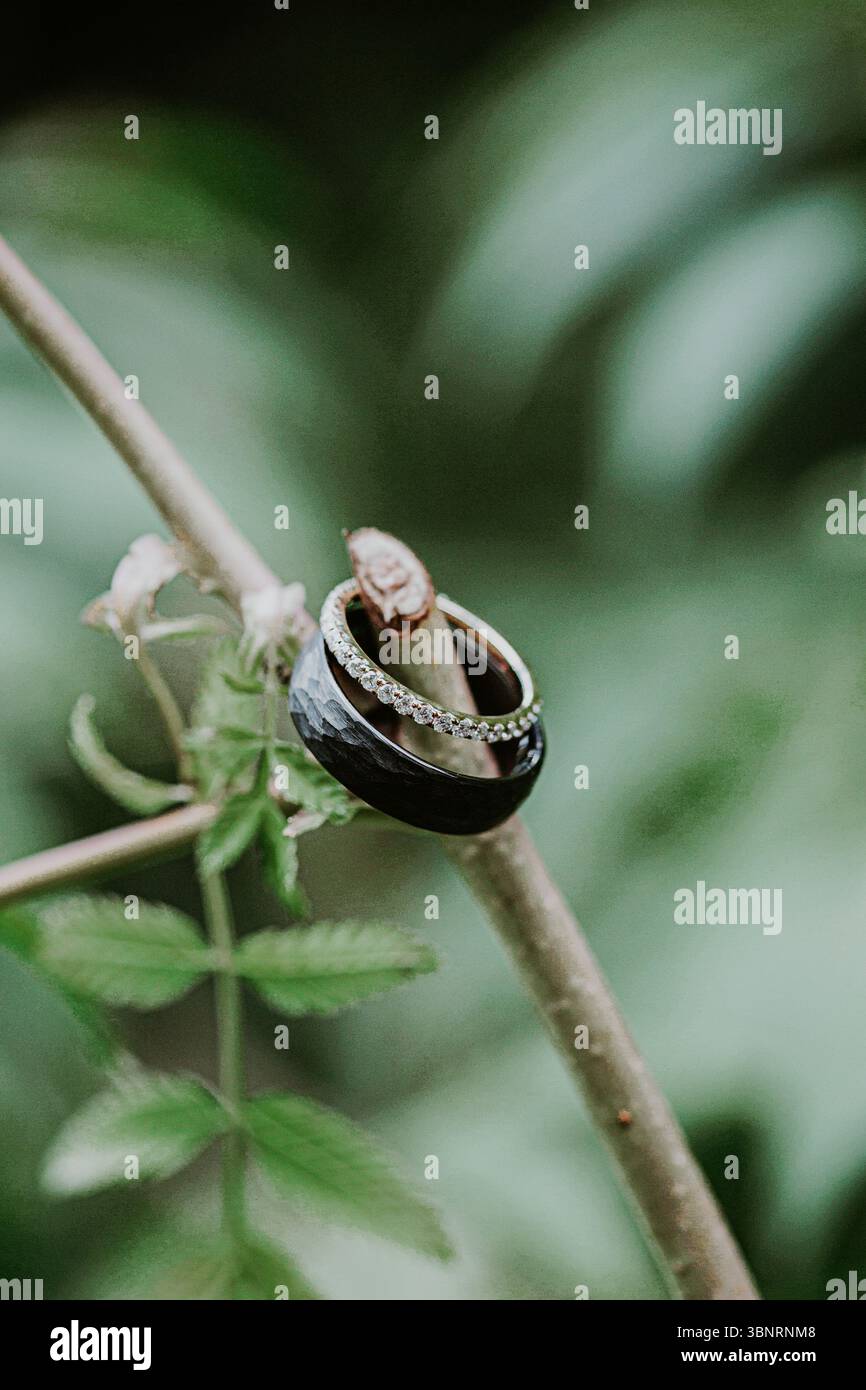 Hochzeitsringe für Braut und Bräutigam vor Naturkulisse Stockfoto