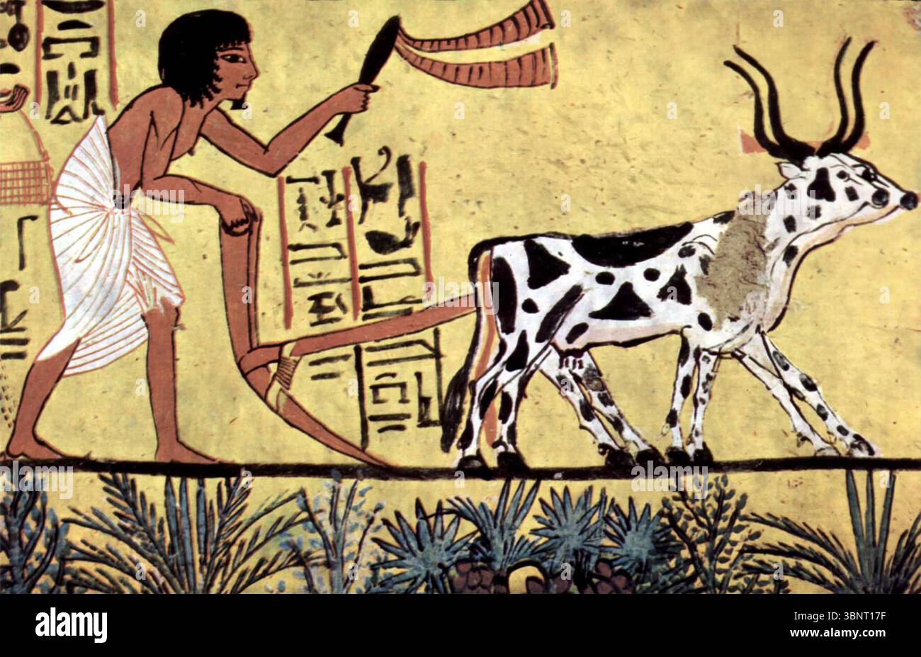 PFLÜGEN im alten Ägypten, wie auf dem Grab von Sennedjem um 1200 v. Chr. gezeigt. Er war einer der Baumeister von Gräbern für Könige. Stockfoto