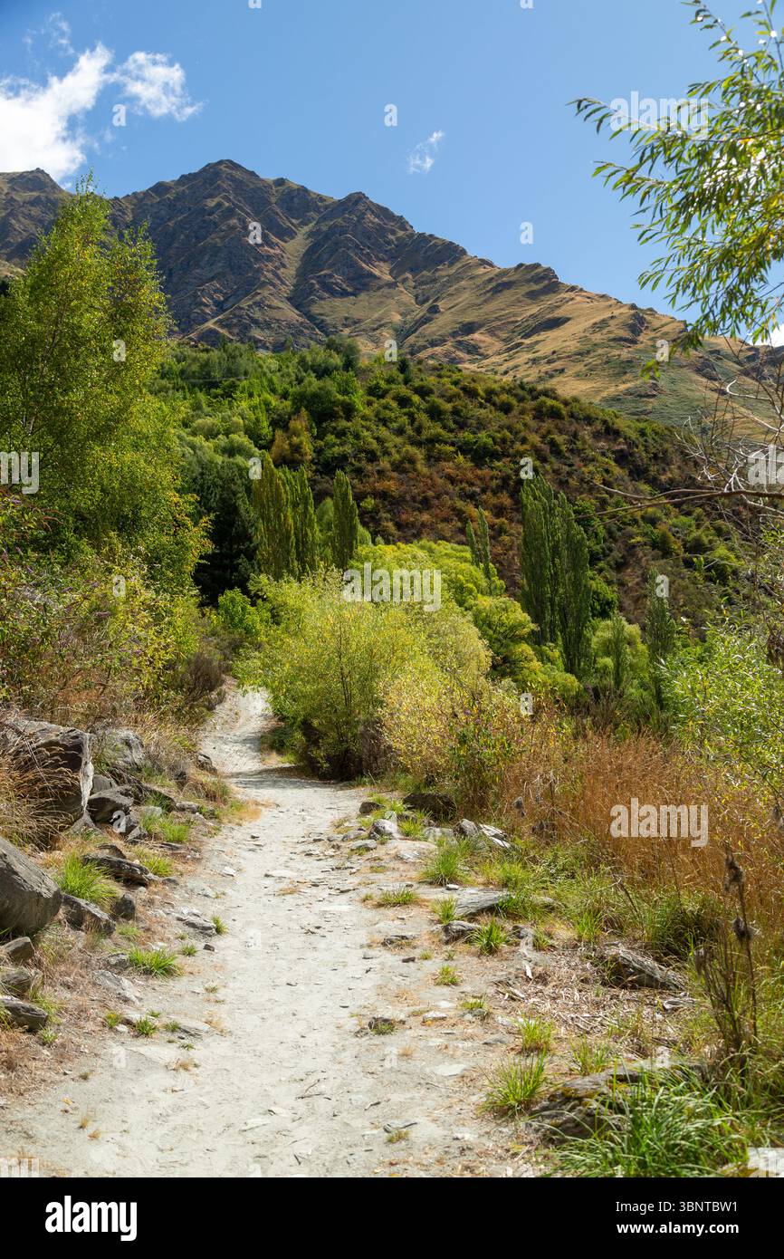 Oxenbridge Tunnel Track, Arthurs Point, Queenstown Stockfoto