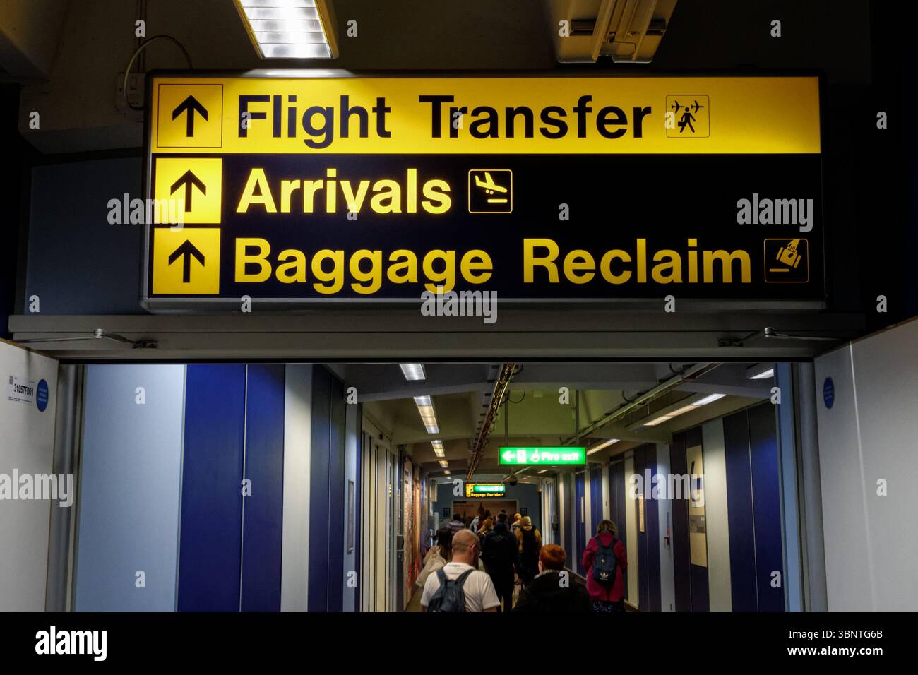Flugtransfer, Ankunft, Gepäckrückgabezeichen am London Stansted Airport Essex England Vereinigtes Königreich Großbritannien Stockfoto