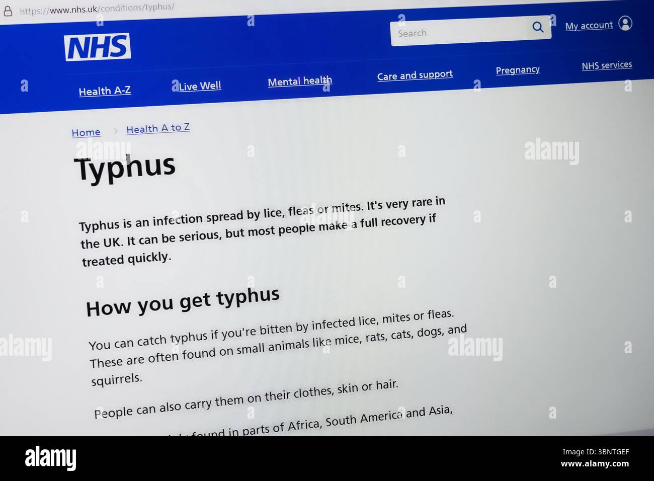 Die NHS-Website mit Informationen zum Typhusfieber Stockfoto