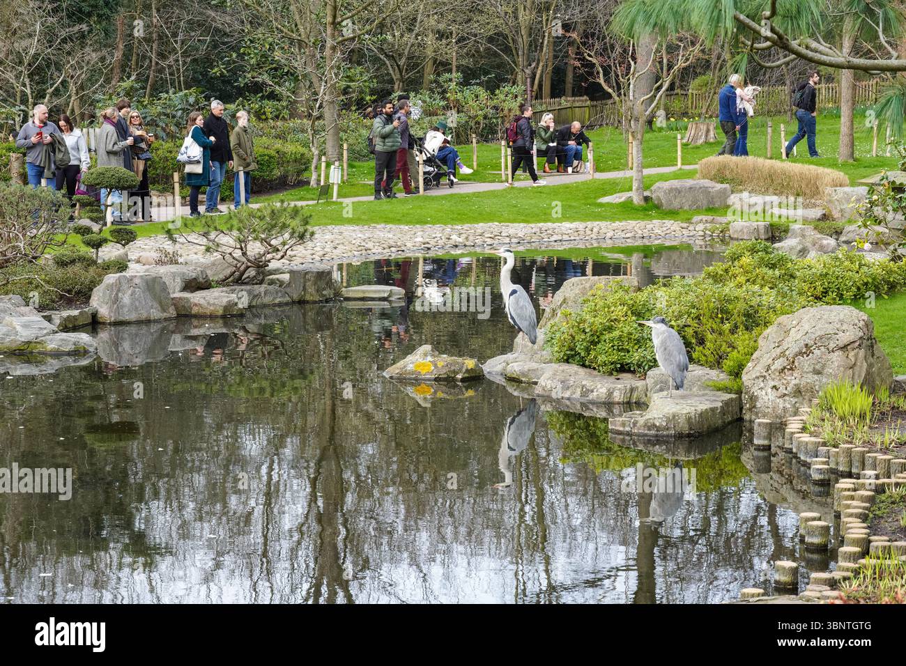 Besucher, die Kyoto Garden im Holland Park, London, England, Großbritannien besuchen Stockfoto