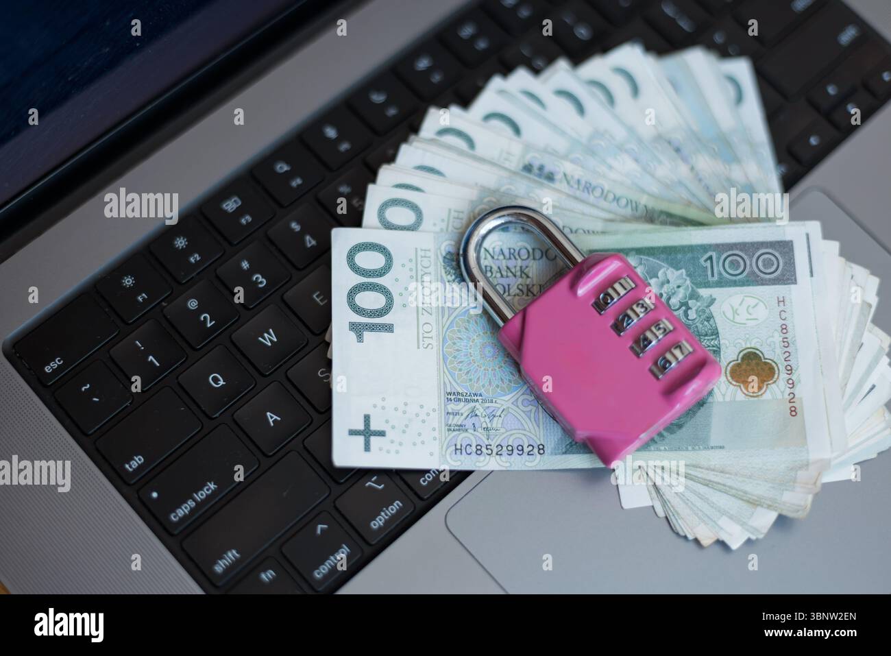 Laptop-Tastatur Mit Rosa Schloss Und Polnischer Zloty Bills. Metapher Für Die Sicherung Persönlicher Finanzen, Online-Einsparungen Und Schutz Digitaler Gelder. Stockfoto