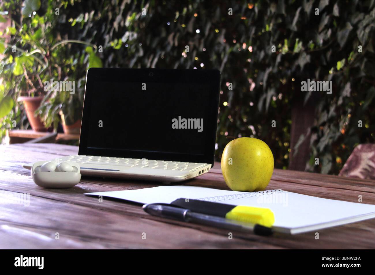 Das Konzept des freiberuflichen Studiums von zu Hause aus. Stockfoto