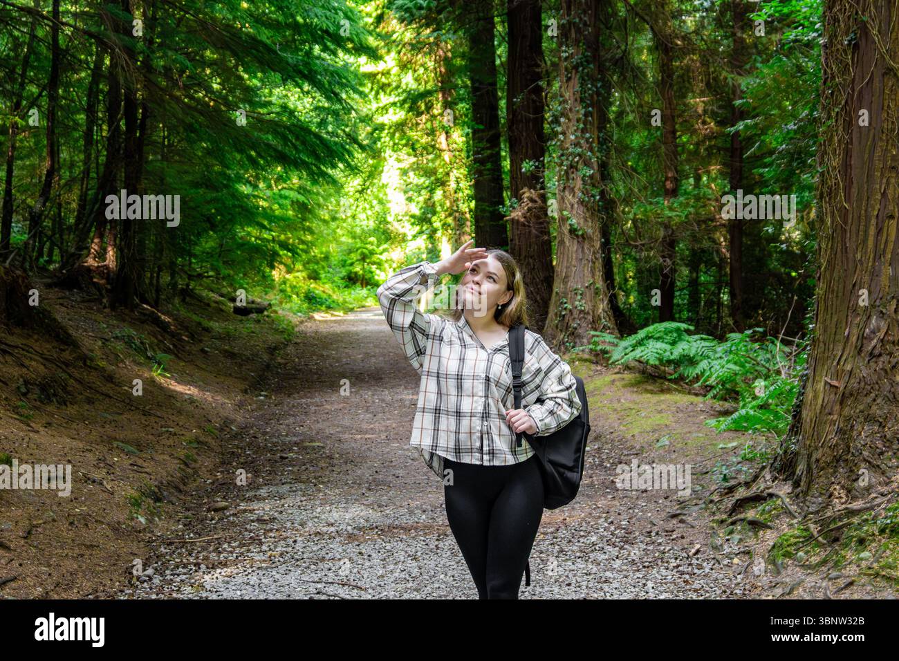 Eine Frau läuft gemütlich einen malerischen Pfad im Wald entlang Stockfoto