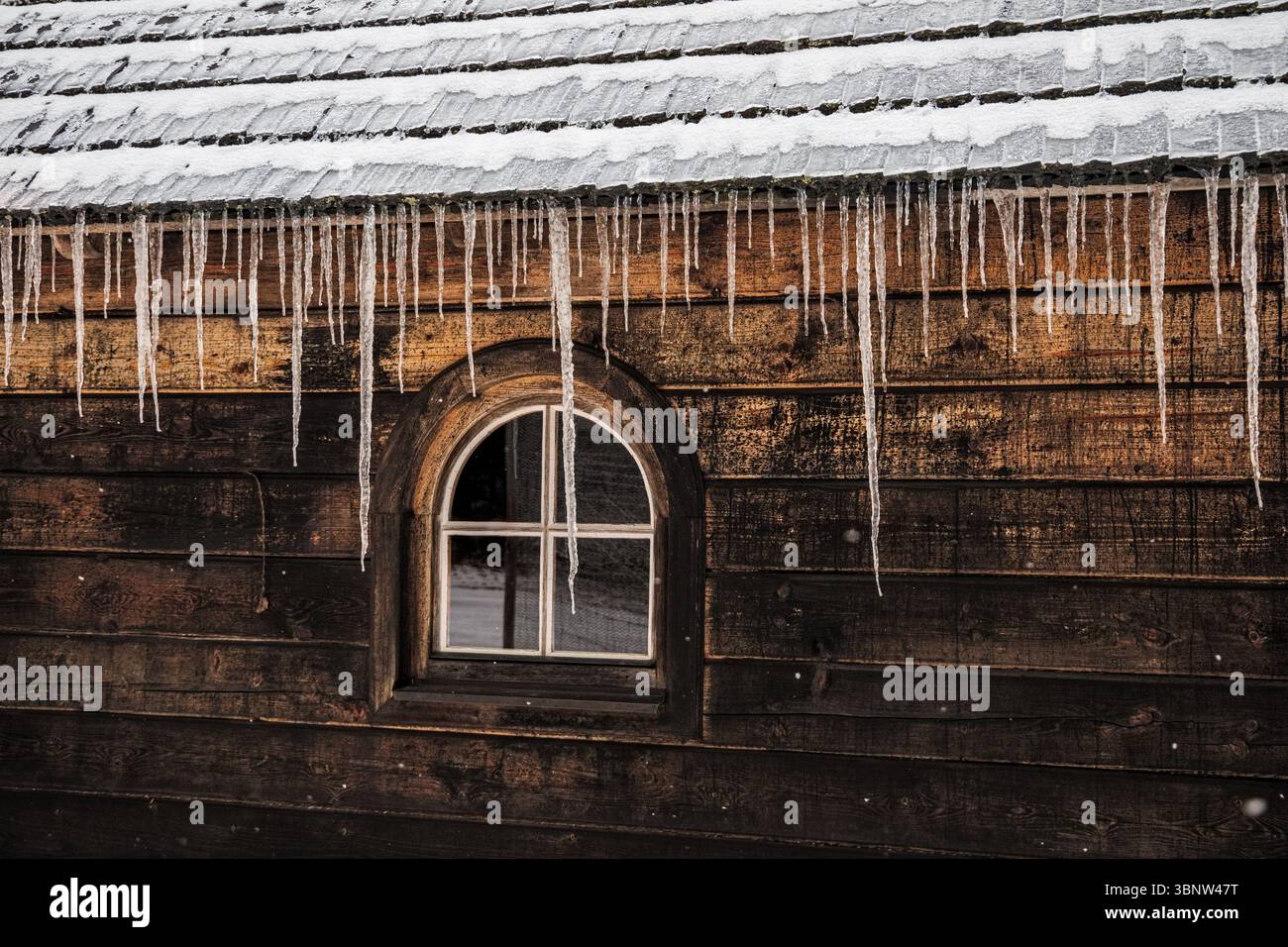 Viele Eiszapfen hängen vom Dach eines Holzhauses mit Bogenfenster im Winter in der Tschechischen Republik Stockfoto