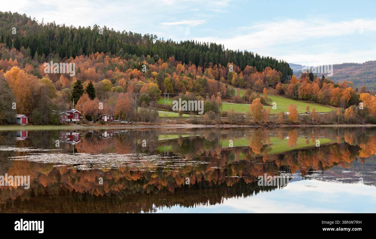 Eine ruhige Szene eines norwegischen Herbstwaldes und ruhigen Sees, die die lebhaften Herbstfarben reflektieren Stockfoto