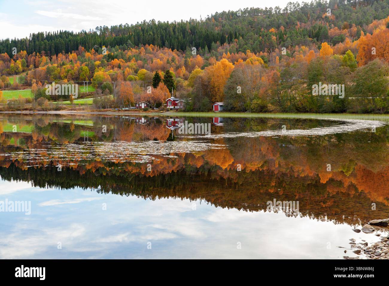Die Landschaft am See zeigt farbenfrohe Herbstbäume, die sich auf dem ruhigen Wasser spiegeln, mit gemütlichen Hütten, eingebettet in das Laub in Harmonie mit dem friedlichen Stockfoto