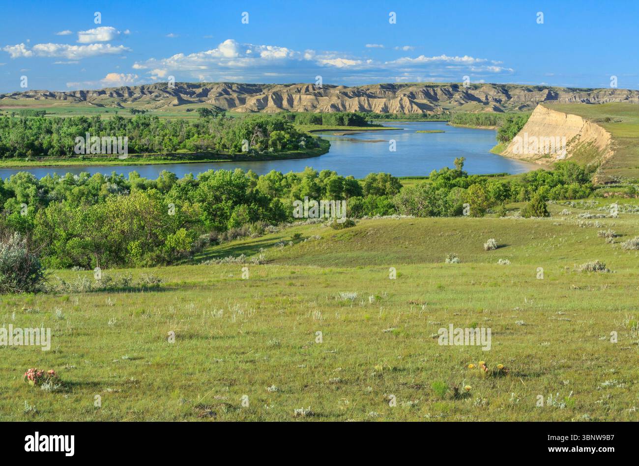missouri River Valley und Badlands in der Nähe von Bainville, montana Stockfoto