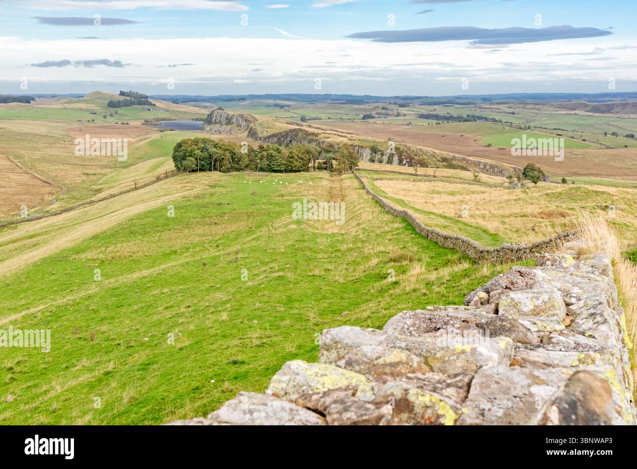 Hadrian's Wall Looking East to Steel Ring, Northumberland, England, Großbritannien Stockfoto