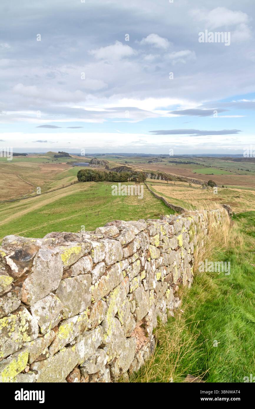 Hadrian's Wall Looking East to Steel Ring, Northumberland, England, Großbritannien Stockfoto