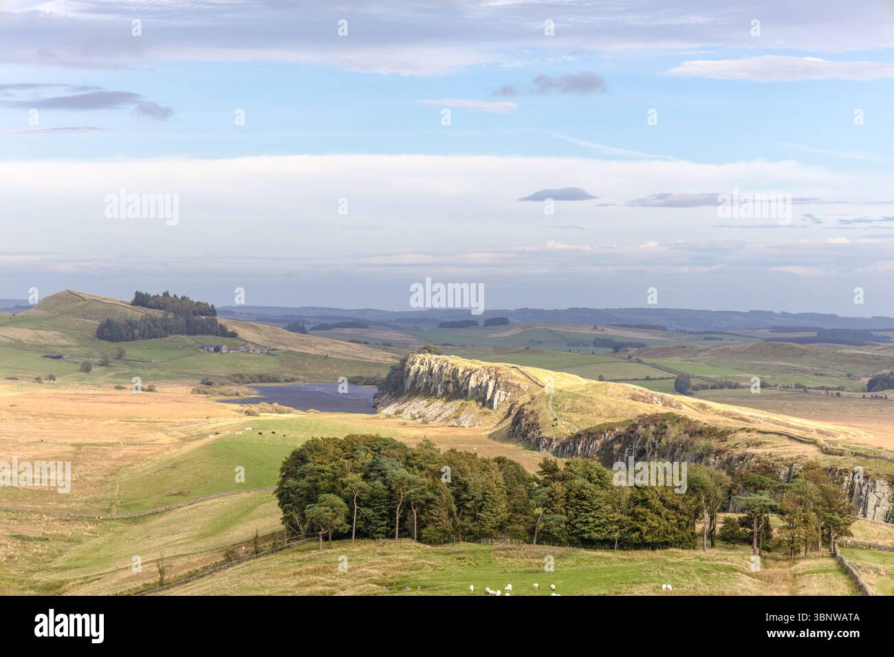Hadrian's Wall Looking East to Steel Ring, Northumberland, England, Großbritannien Stockfoto