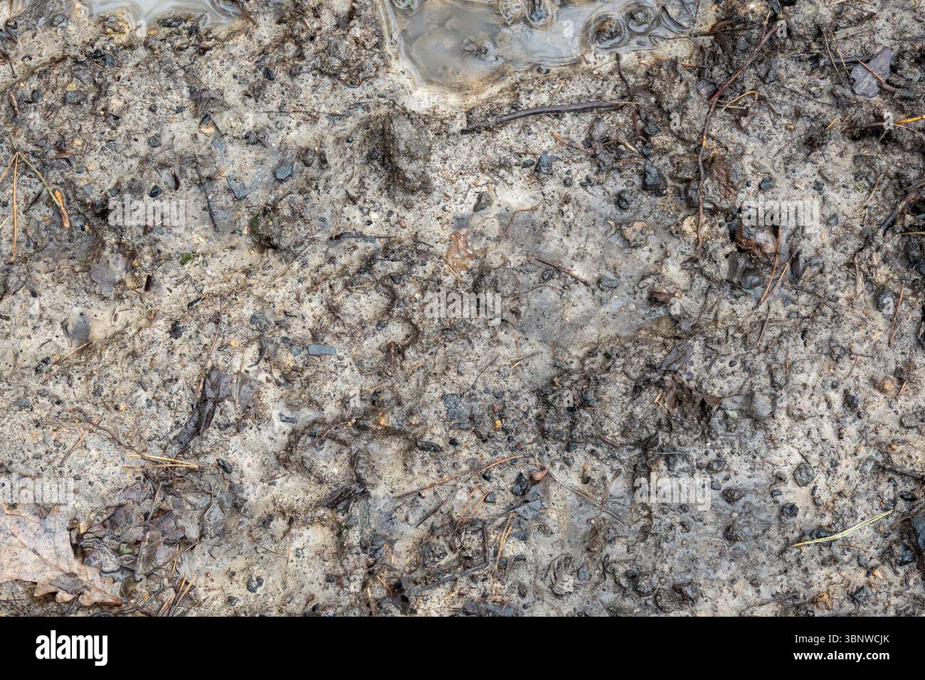 Textur von Schlamm und nassem Boden nach Starkregen Stockfoto