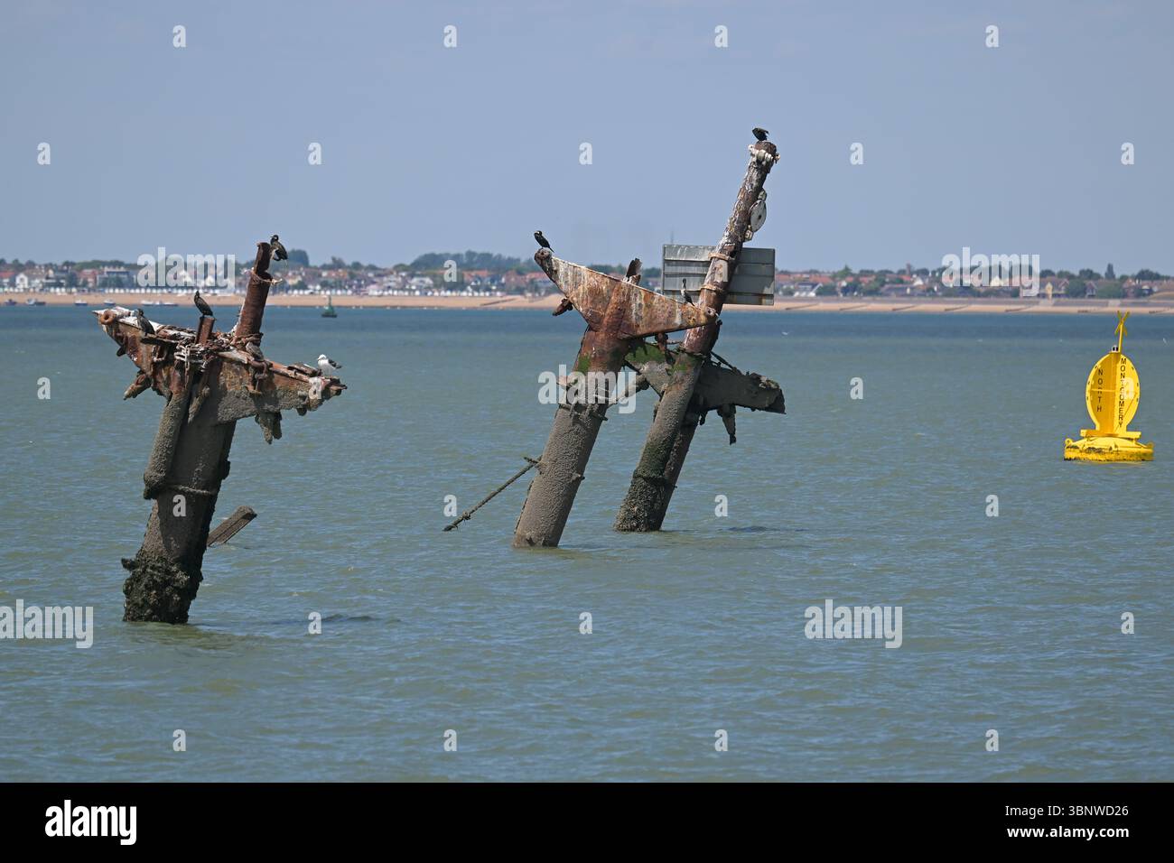Thames Estuary UK 4. Juli 2025. Die Masten der SS Richard Montgomery sind der einzige sichtbare Hinweis auf die Gefahr, die unter den Wellen liegt. In der Nacht des 20. August 1944 sank das US-Liberty-Schiff auf Grund und trug eine Ladung Bomben und Munition, die der alliierten Invasionstruppe in Frankreich helfen sollte. Das Schiff bleibt auf der Sandbank in der Themsmündung in der Nähe des Anflugkanals von Medway Kent und hat bis heute noch etwa 1400 Tonnen Sprengstoff in ihren vorderen Laderäumen. Jüngste Untersuchungen des Schiffes haben eine deutliche Verschlechterung ihres Zustands und Pläne zur Realisierung gezeigt Stockfoto