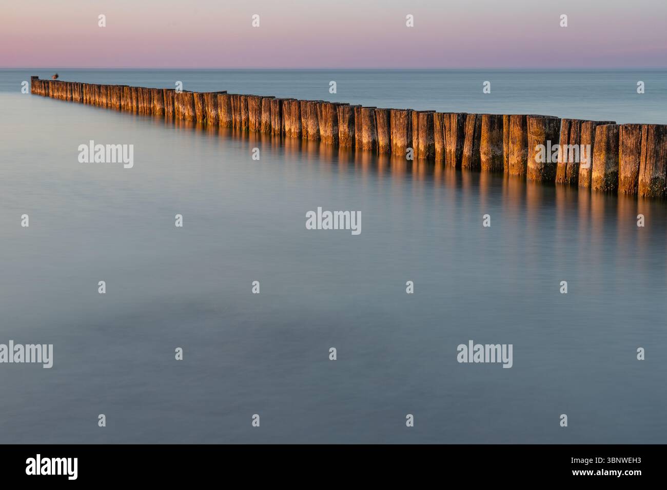 Holzdielen an der Ostsee in Zingst, Deutschland bei Sonnenuntergang, aufgenommen mit Langzeitbelichtung Stockfoto