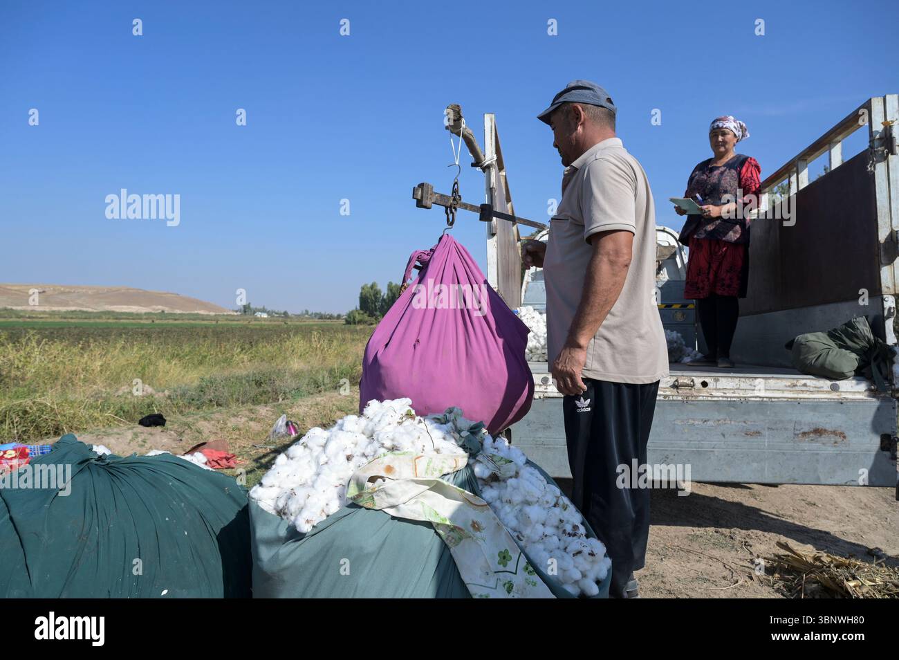 KIRGISISTAN, Bazar-Korgon bei Jalalabad, Landwirtschafts- und Dienstleistungsgenossenschaft ACSC Bio-Farmer, Projekt Bio- und Fairtrade-Baumwollfarm, Wiegen der Ernte und Transport zur Entkernungsfabrik / KIRGISISTAN, Bazar Korgon, Projekt Fairtrade und Bio-Baumwolle Anbau ACSC Bio-Farmer, wiegen der Ernte und Transport zur Entkernungsfabrik Stockfoto