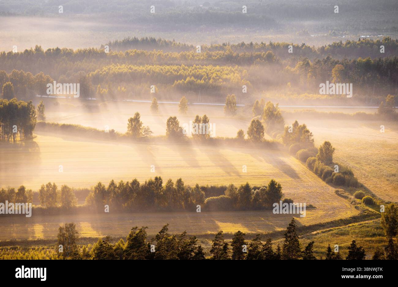 Goldener Sonnenuntergang über ländlichen Feldern und Bäumen in Lettland, aus der Vogelperspektive Stockfoto
