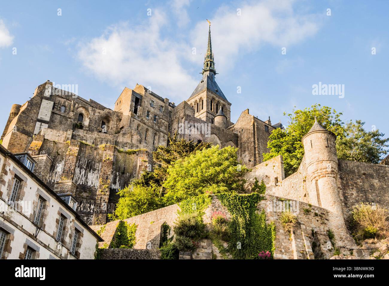 Mont-Saint-Michel, seine Abtei und seine Befestigungsmauern zu seinen Füßen fotografiert, die berühmteste Touristenattraktion, Manche, Normandie, Frankreich Stockfoto