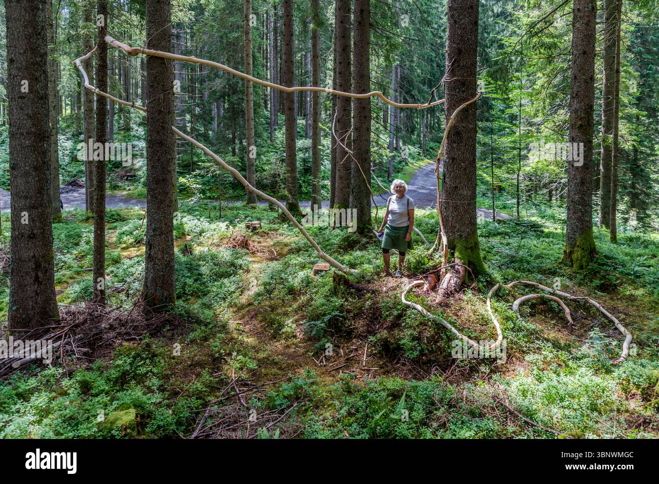 Claudia Häusler, Kuratorin des Gerschnialp Land Art Trail, Engelberg, bei einem von 13 Naturkunstwerken der Ausstellung „Outlook – Insight“ 2025. Claudia Häusler ist Kuratorin der Landkunstausstellung 'View - Insight' auf der Gerschnialp bei Engelberg, Obwalden, Schweiz. Sie steht in einem Werk des Künstlers Chantale Heimo, der mit Zweigen eine kraftvolle Verbindung zwischen Mensch und Natur schafft Stockfoto