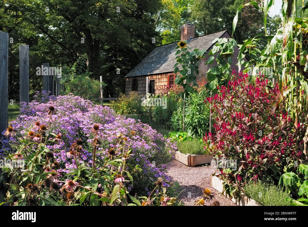 Nachbildung des Gemüsegartens aus der Kolonialzeit im Historic Wicks Family Farmhouse, Jockey Hollow State Historic Park, Morristown, New Jersey Stockfoto