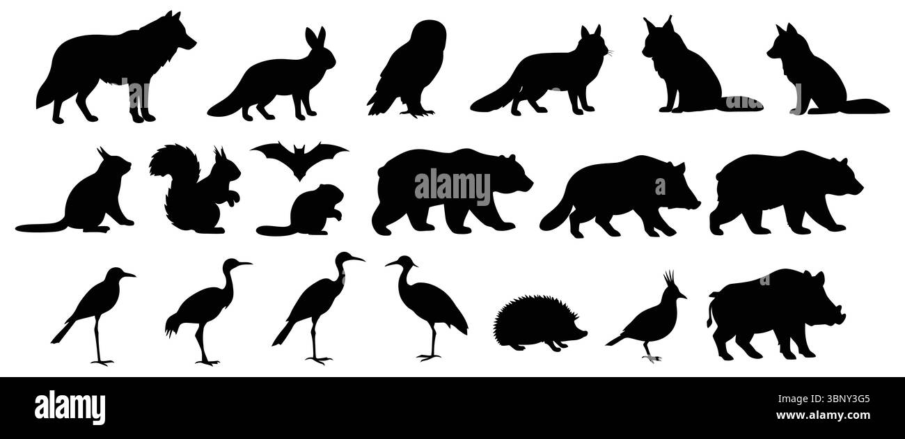 Tiere und Vögel Silhouette Set Vektor Stock Vektor