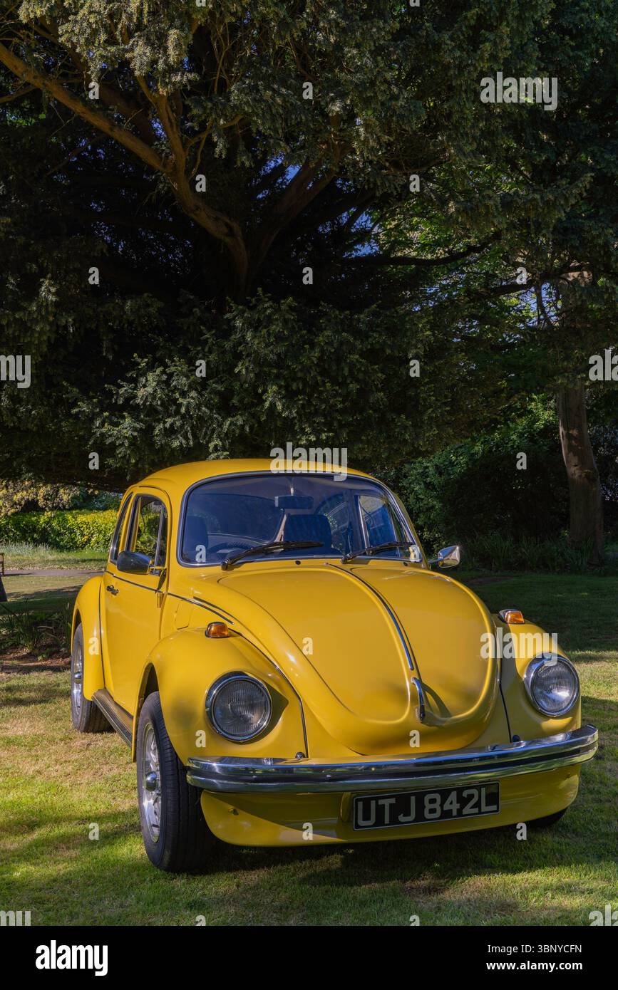 Clevedon Kaffee und Autos Stockfoto