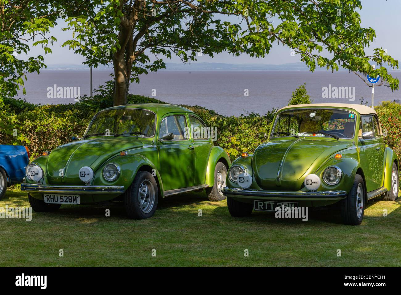 Clevedon Kaffee und Autos Stockfoto