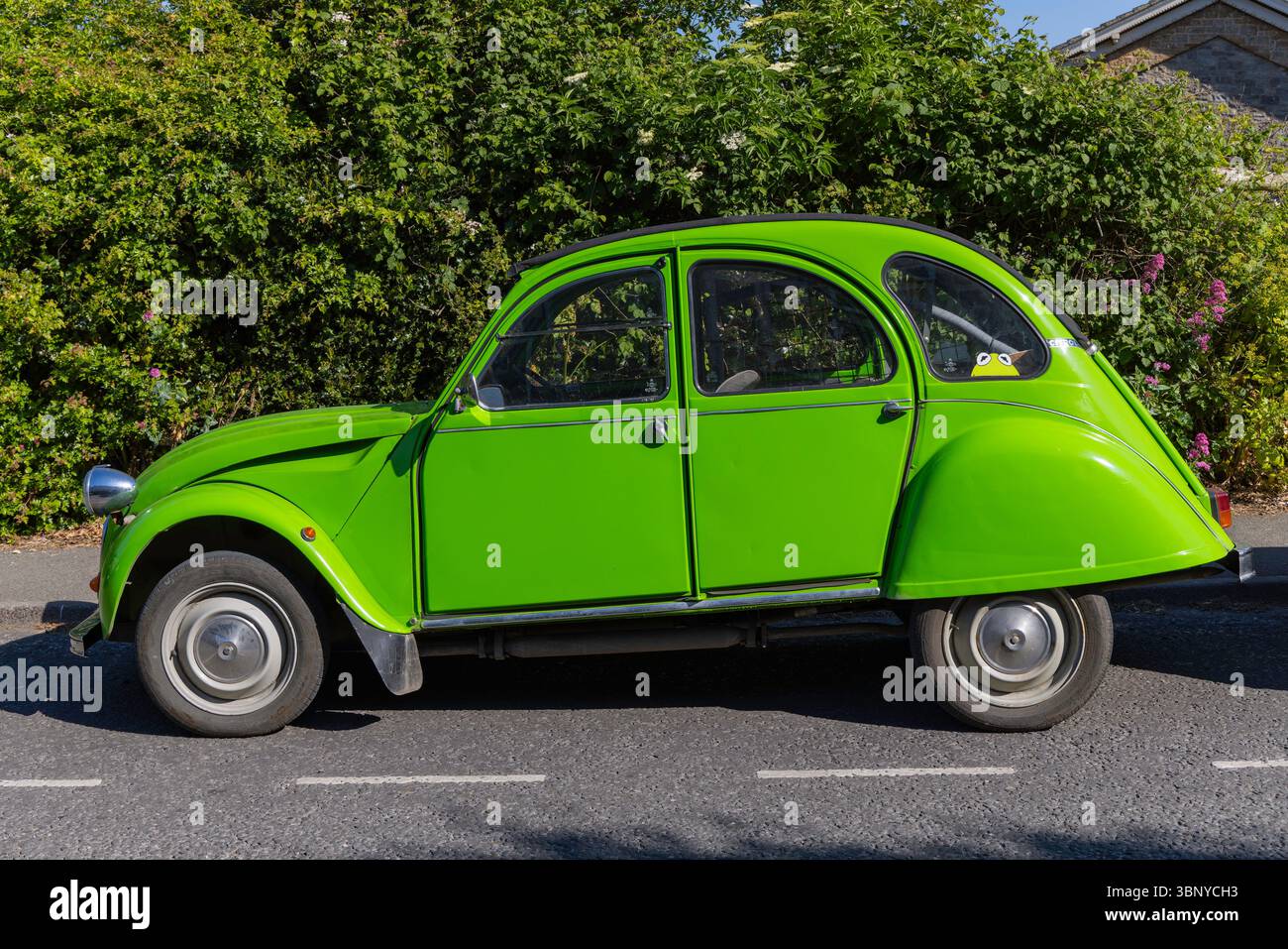 Clevedon Kaffee und Autos Stockfoto
