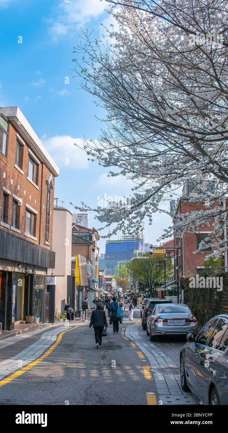 Seoul, Südkorea - 10. April 2025: Eine belebte Straße im Bukchon Hanok Village mit Fußgängern, Autos, die entlang der Straße geparkt werden, und Cherry bloss Stockfoto