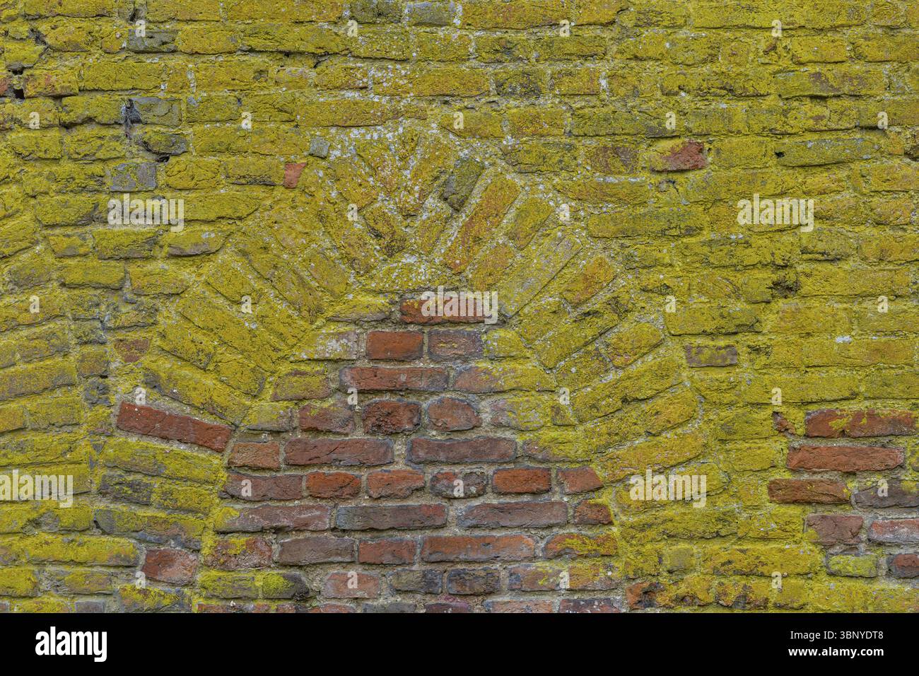Hintergrund mit Backsteinmauer mit MOS und alten mittelalterlichen gewachsen Fensterform Stockfoto