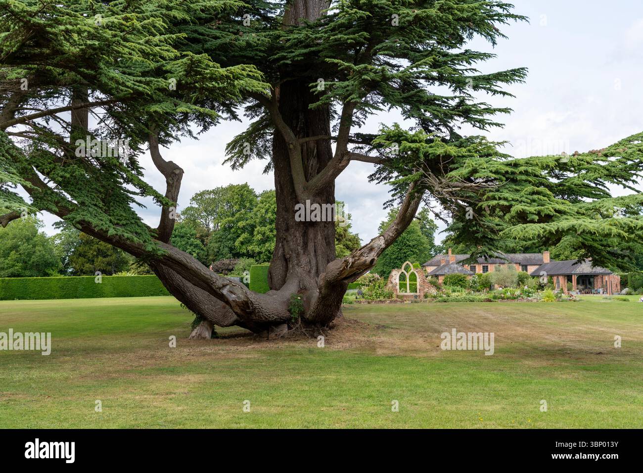 Ashe Park Suffolk UK Stockfoto