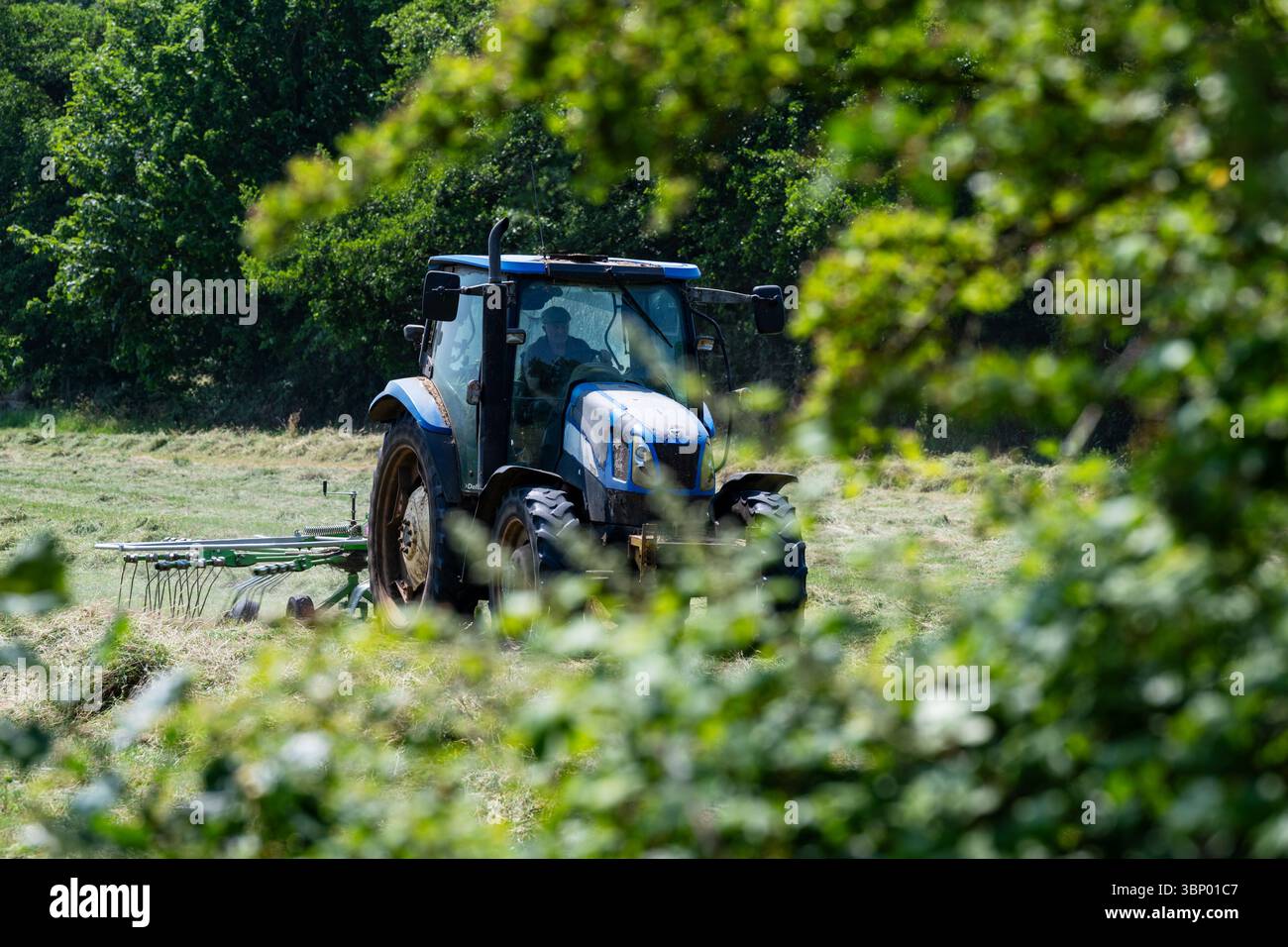 Heuernte Ufford Suffolk England Stockfoto