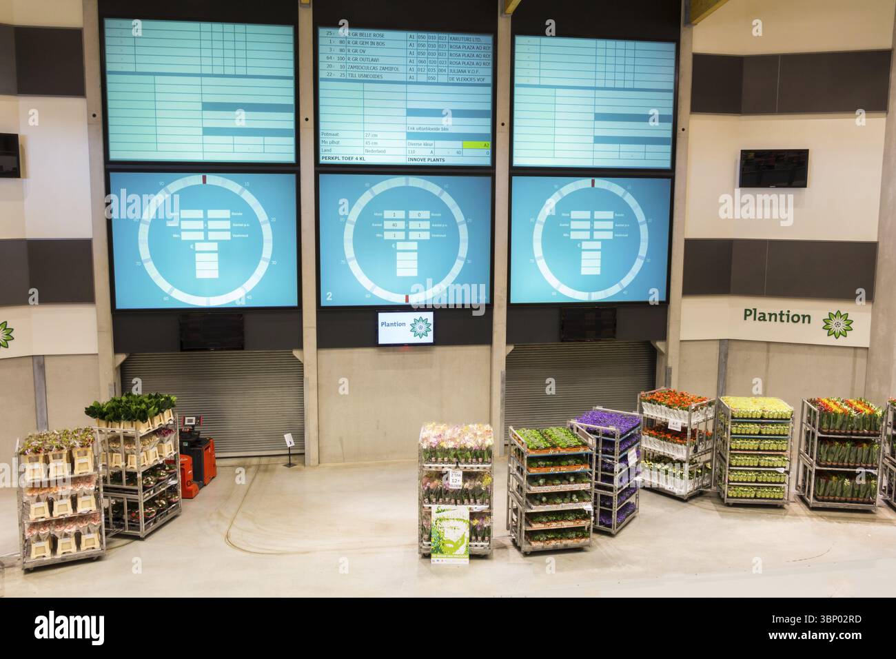 EDE, NIEDERLANDE - 18. APRIL 2015: Blumenauktionsuhr und elektronischer Bildschirm im Plantion Commerce Center in den Niederlanden Stockfoto